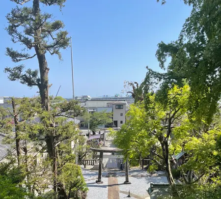 居神神社の写真・動画_image_424947