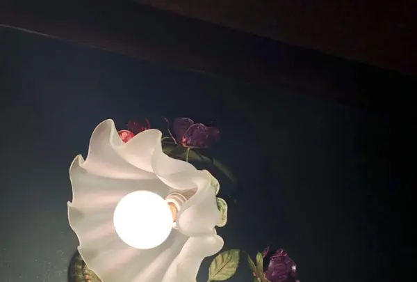 アンティーク珈琲館 魔女のランプの写真・動画_image_425619