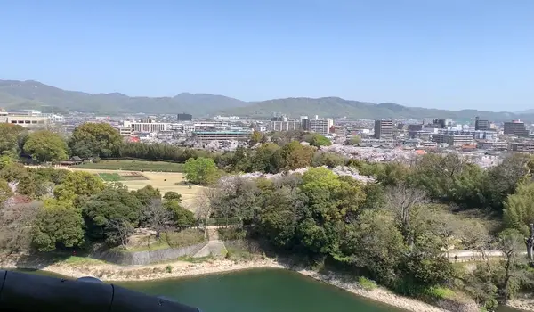 岡山城の写真・動画_image_426555