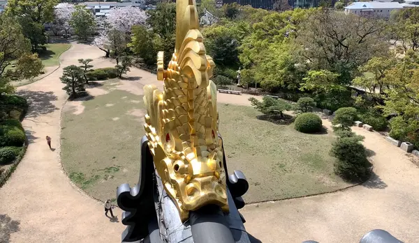 岡山城の写真・動画_image_426558