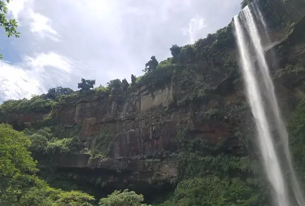 ピナイサーラの滝の写真・動画_image_426581