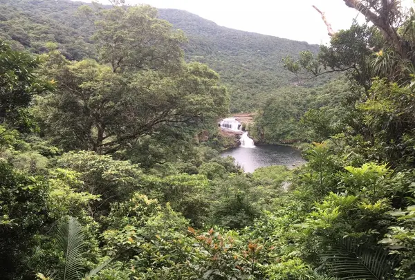 マリユドゥの滝の写真・動画_image_426596