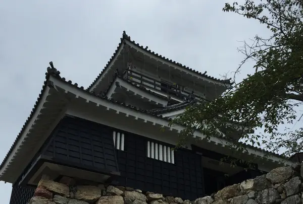 浜松城の写真・動画_image_426681
