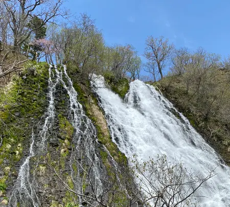 オシンコシンの滝の写真・動画_image_429799