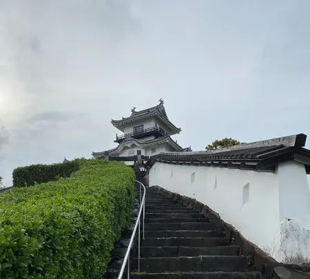 掛川城の写真・動画_image_430618