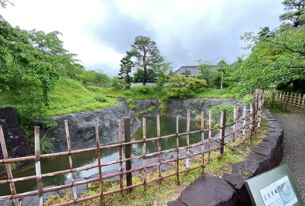 掛川城の写真・動画_image_430620