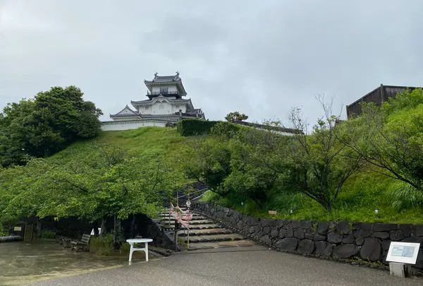 掛川城の写真・動画_image_430621