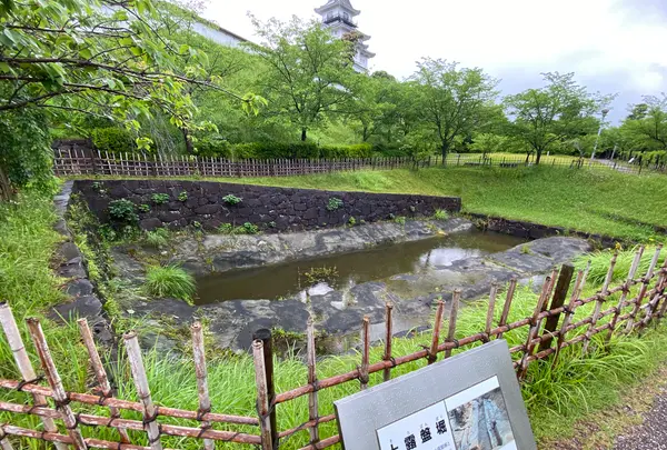 掛川城の写真・動画_image_430622