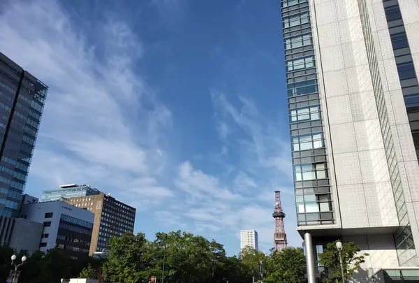札幌駅の写真・動画_image_431587