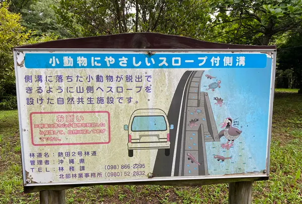 県民の森の写真・動画_image_432109
