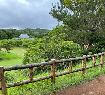 県民の森の写真・動画_image_432112