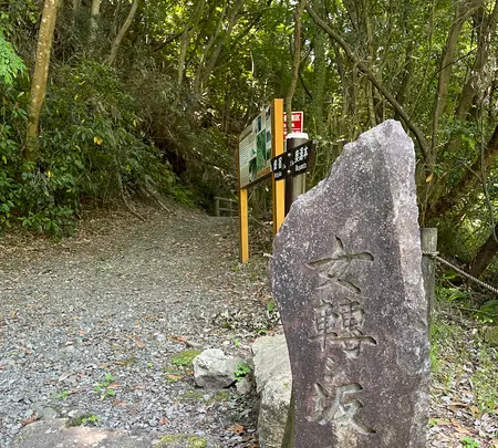 須雲川自然探勝歩道の写真・動画_image_432369