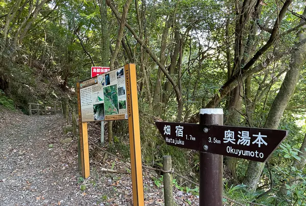 須雲川自然探勝歩道の写真・動画_image_432370