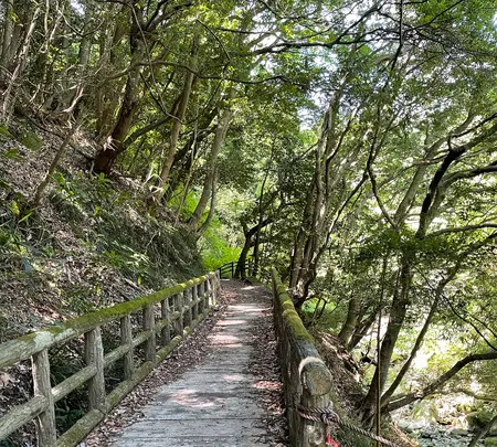 須雲川自然探勝歩道の写真・動画_image_432373