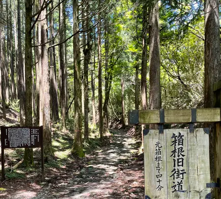 旧東海道石畳の写真・動画_image_432393