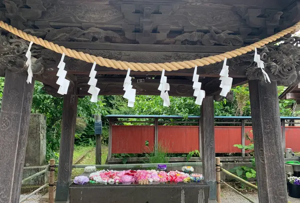 前玉神社の写真・動画_image_432551