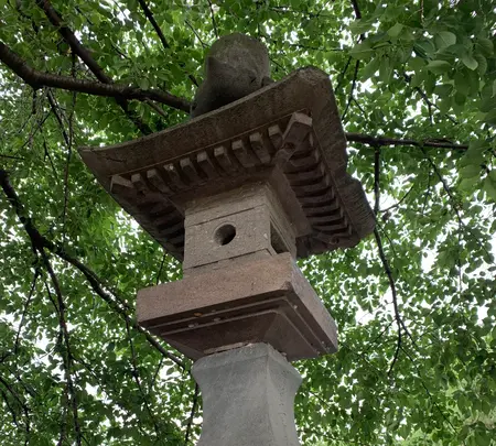 前玉神社の写真・動画_image_432553