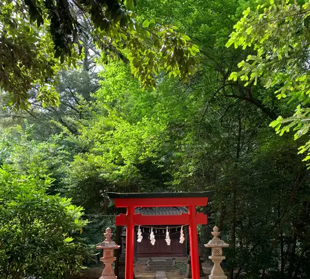 前玉神社の写真・動画_image_432554