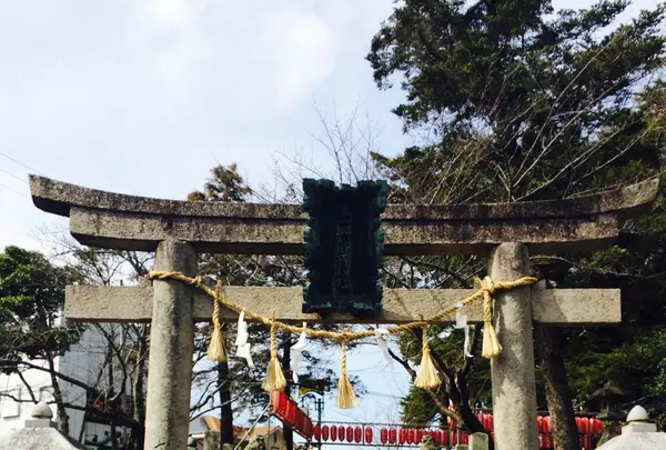 玉前神社の写真・動画_image_433029