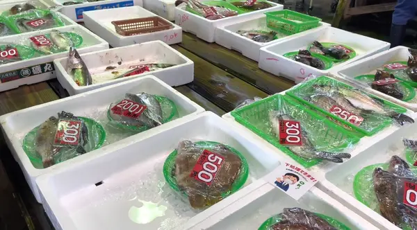 玉野魚市場の写真・動画_image_434215
