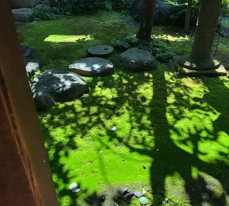 旧岩崎邸庭園の写真・動画_image_434722