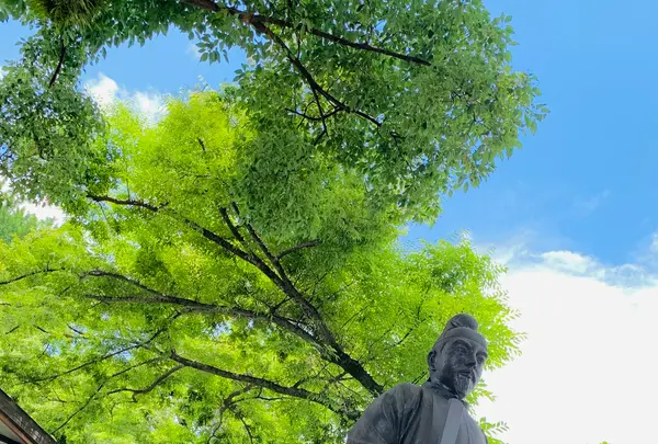 護王神社の写真・動画_image_436110