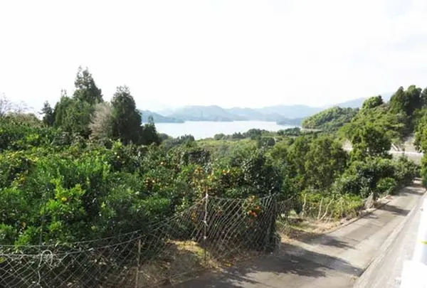 大芝大橋の写真・動画_image_438214
