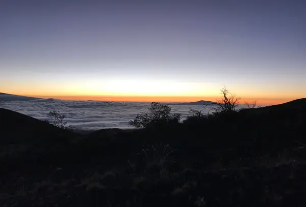 Mauna Kea（マウナ・ケア山）の写真・動画_image_439846