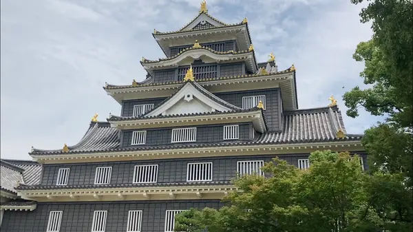 岡山城の写真・動画_image_439915