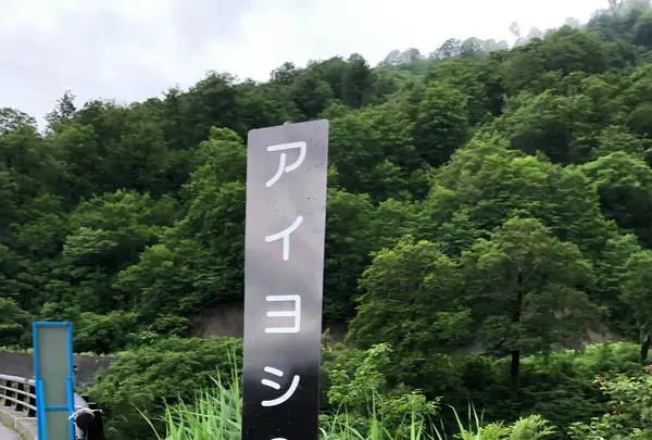 アイヨシの滝の写真・動画_image_440170