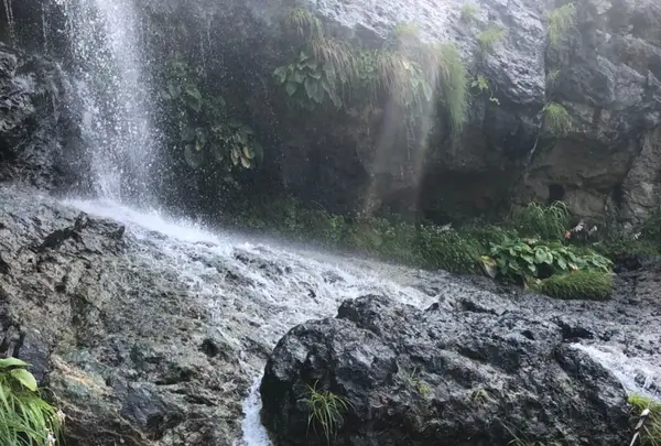 垂水の滝の写真・動画_image_442201