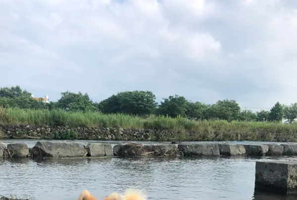 高岡おとぎの森公園の写真・動画_image_444991