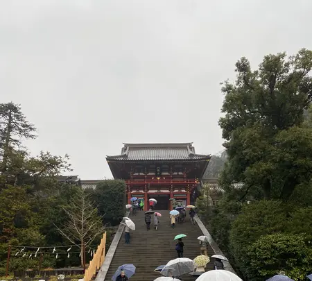 鶴岡八幡宮の写真・動画_image_454589