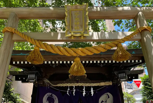 茶ノ木神社の写真・動画_image_457311