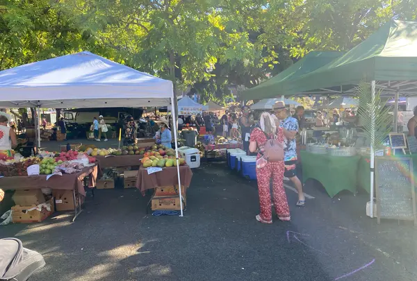 KCC Farmers Marketの写真・動画_image_457452