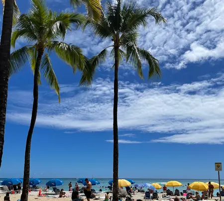 Waikiki Beach（ワイキキ・ビーチ）の写真・動画_image_457639