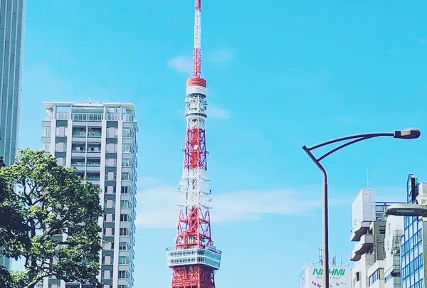 東京タワーの写真・動画_image_458730