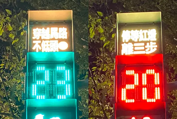 丟丟当森林の写真・動画_image_459617