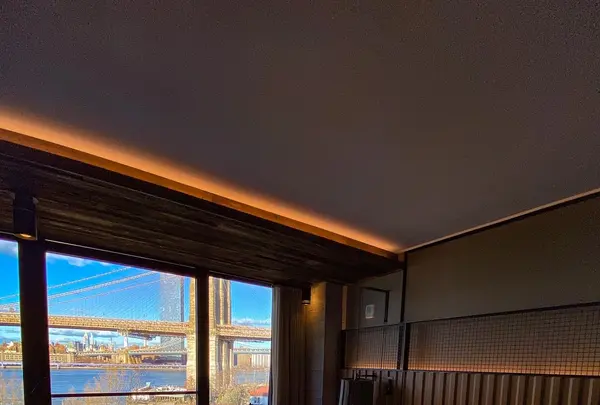 1 Hotel Brooklyn Bridgeの写真・動画_image_462880