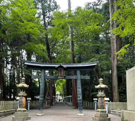 田村神社 拝殿の写真・動画_image_465582