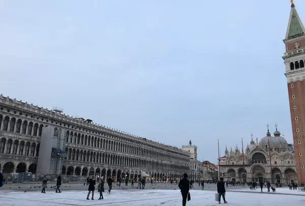 Piazza San Marco （サン・マルコ広場）の写真・動画_image_469562