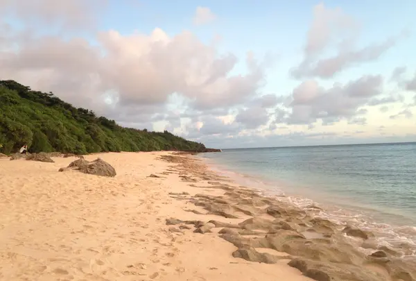 長間浜の写真・動画_image_470036