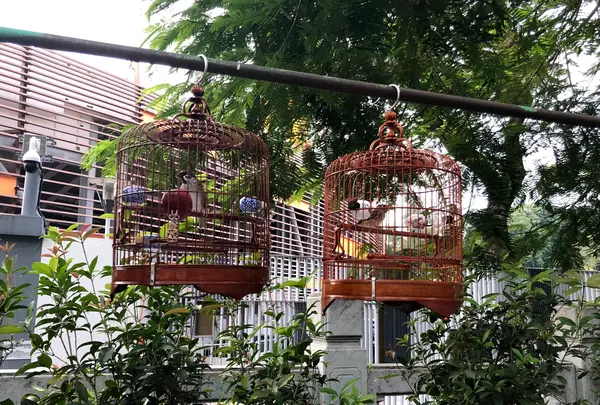 Yuen Po Street Bird Gardenの写真・動画_image_470575
