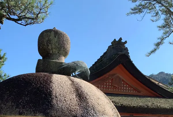 厳島神社の写真・動画_image_472151