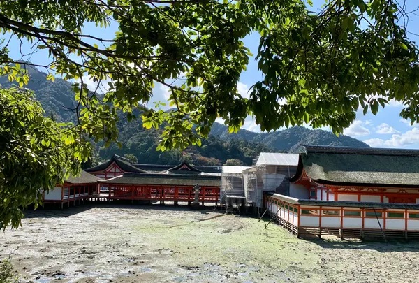 厳島神社の写真・動画_image_472208