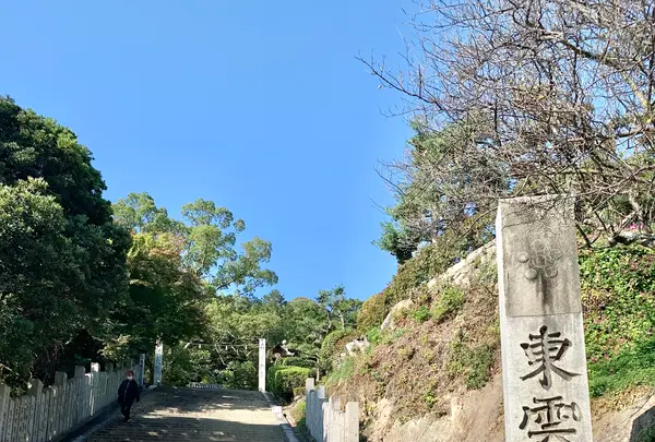 東雲神社の写真・動画_image_472443