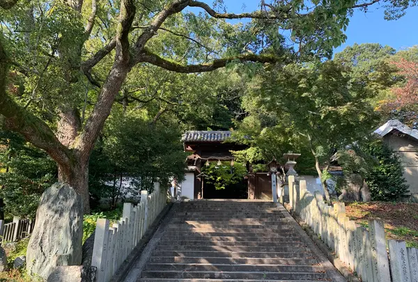 東雲神社の写真・動画_image_472444