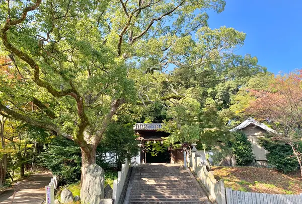 東雲神社の写真・動画_image_472446