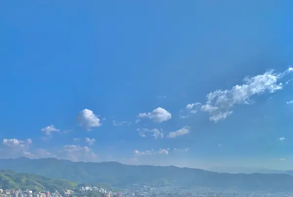 松山城の写真・動画_image_472498