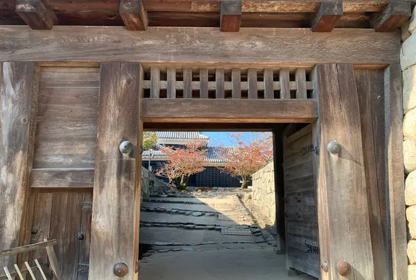 松山城の写真・動画_image_472508